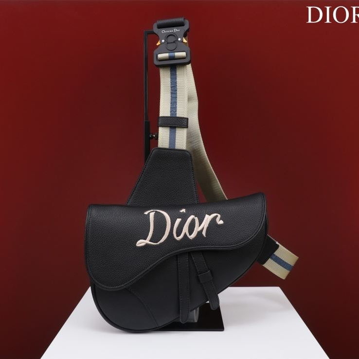 Christian Dior Saddle Bags - Click Image to Close